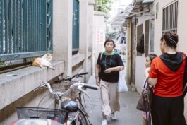 LU YUFAN